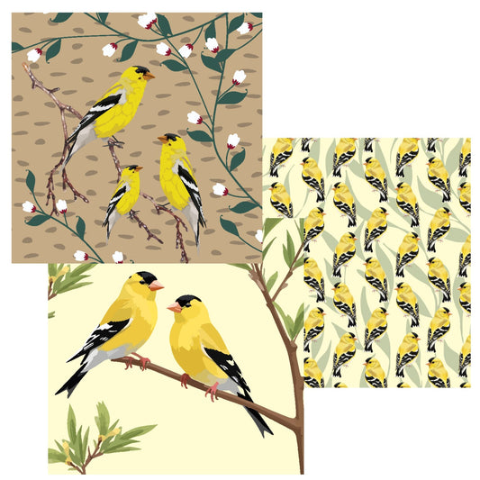Dish Cloth (11"X11") - Set of 3 - Goldfinch