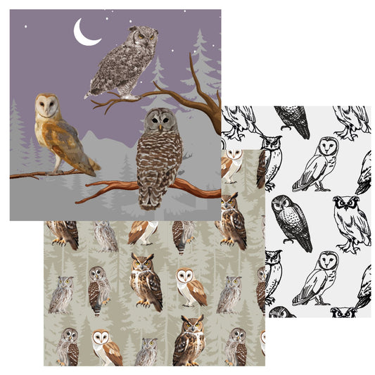 Dish Cloth (11"X11") - Set of 3 - Owl