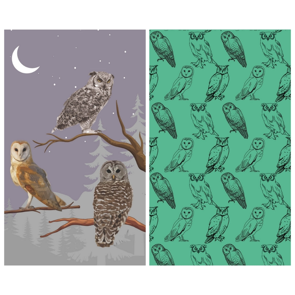 Owl - Kitchen Dish Towel & Hand towel